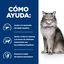 Hill's Prescription Diet Liver Care l/d Pollo pienso para gatos, , large indicador imagen numero 4